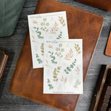 Eucalyptus Sticker Sheet | Sketch Collection